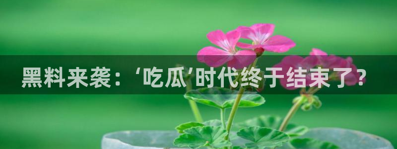 51吃瓜事件始末