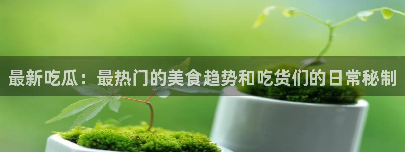 吃瓜真相后续进展