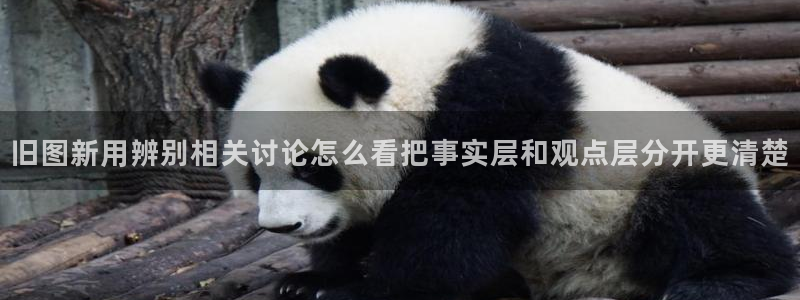 网络热点事件始末