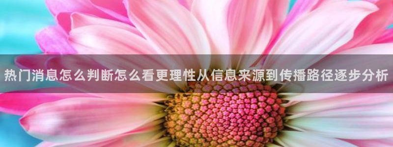 51吃瓜信息核验