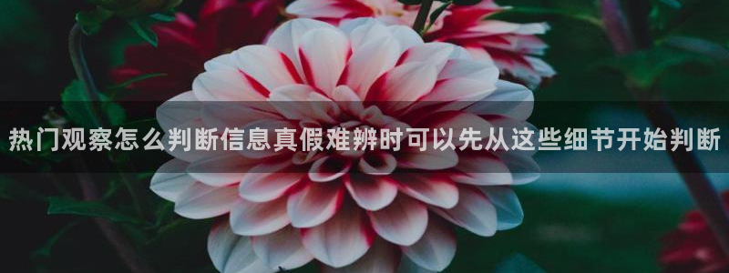 职场热点今日更新