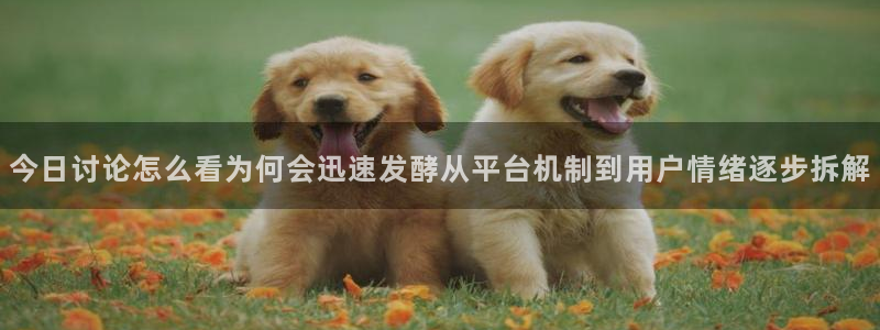 最新吃瓜热点汇总