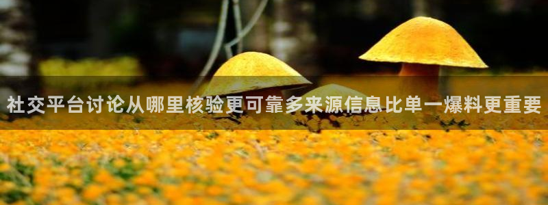 吃瓜真相
