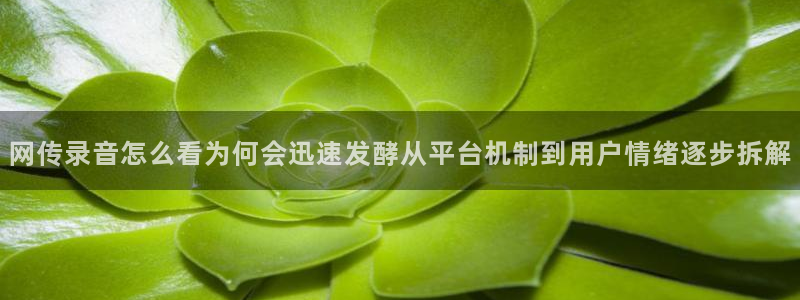 职场热点最新消息