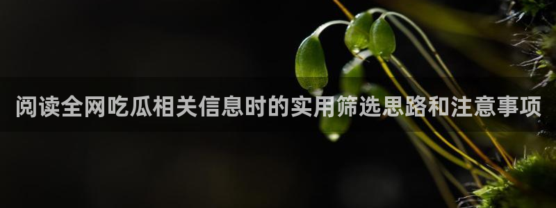 网络热点来源梳理