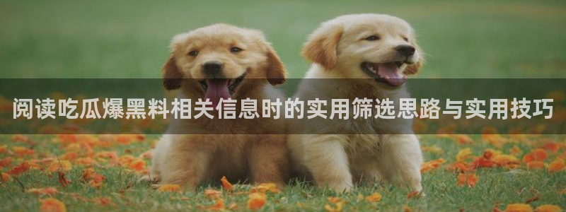 网络热点今日更新