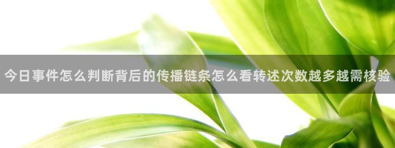 今日吃瓜