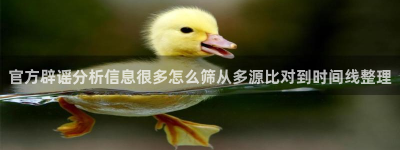 吃瓜