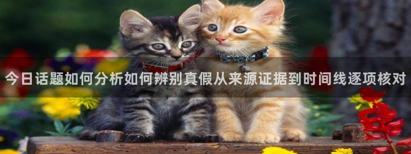 直播吃瓜